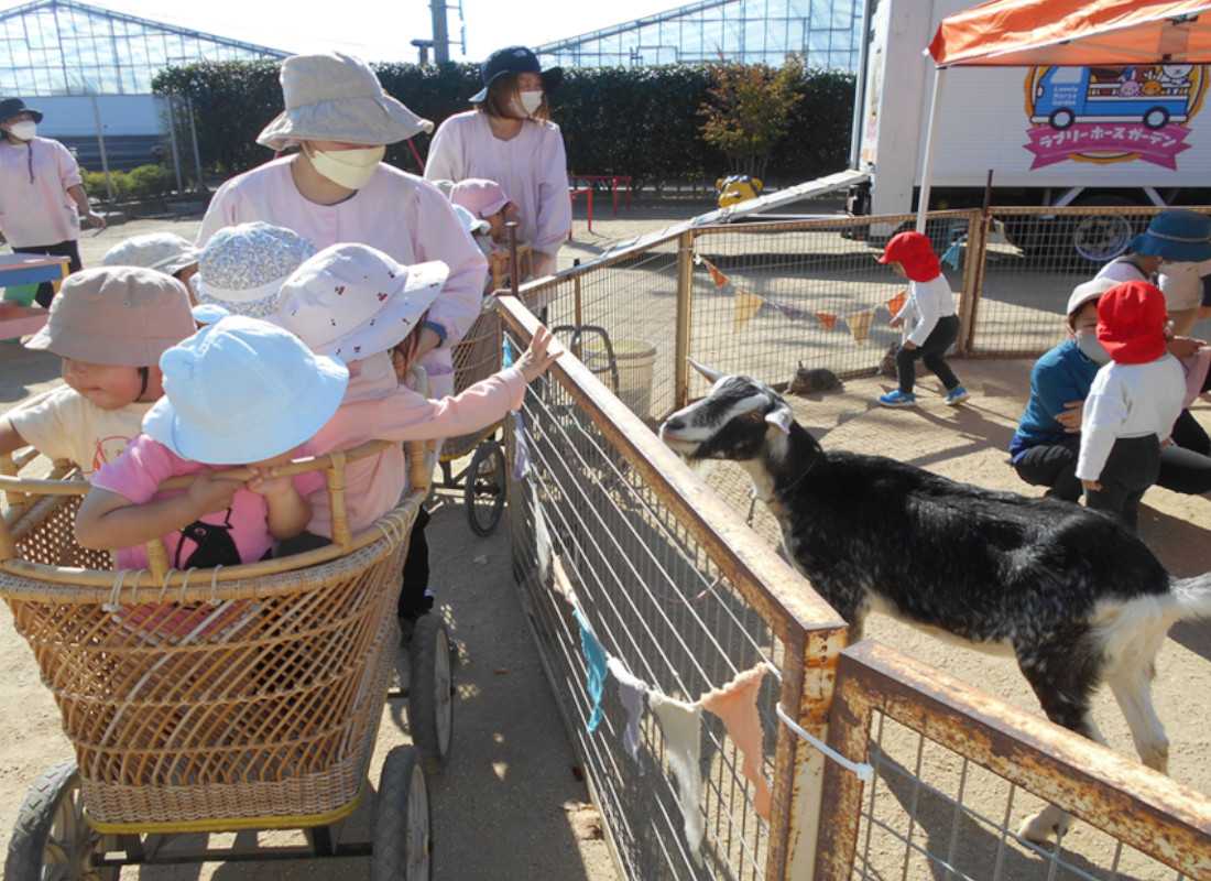 浜松市 こども園 ギャラリー 3