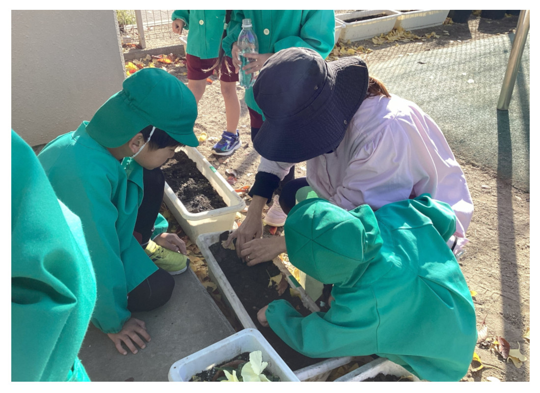 浜松市 こども園 球根植え